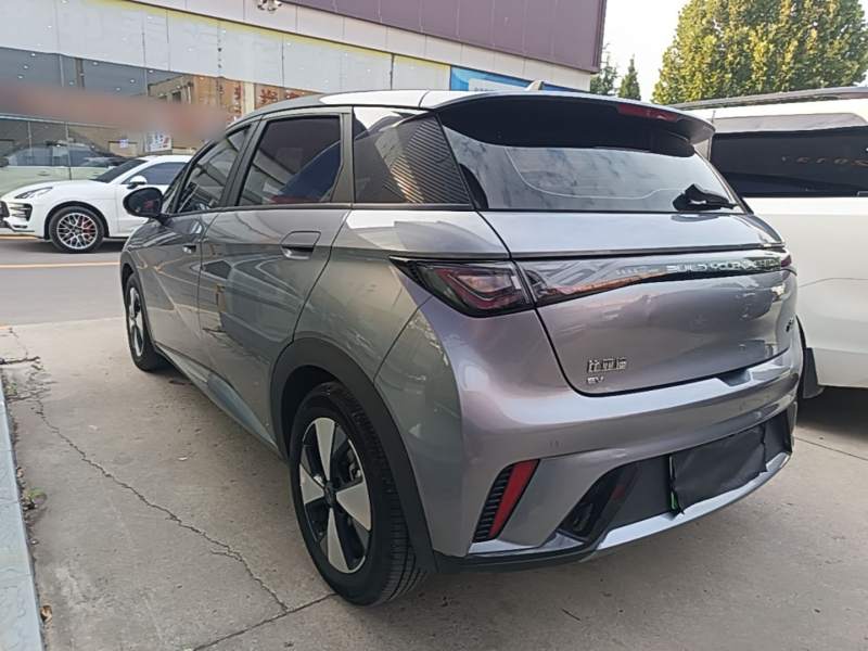 Used BYD Dolphin 2023 420 km Fashion Edition — 4
