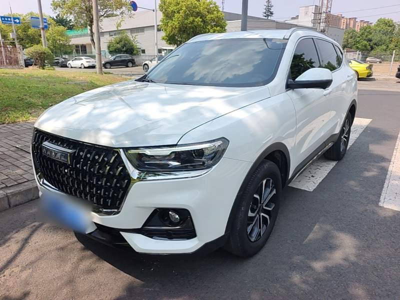 Used Haval H6 2023 National Trend Edition 1.5T Automatic Urban Version