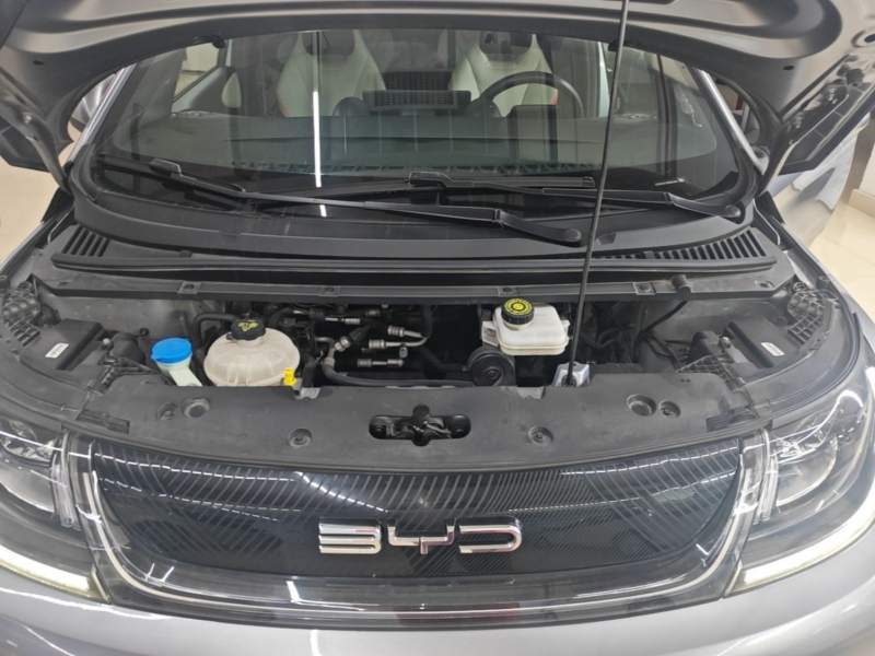 Used BYD Dolphin 2021 405 km Fashion Edition — 19
