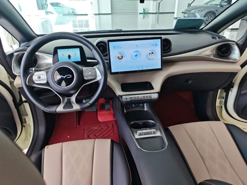Used BYD Dolphin 2025 420km Free Edition — 9