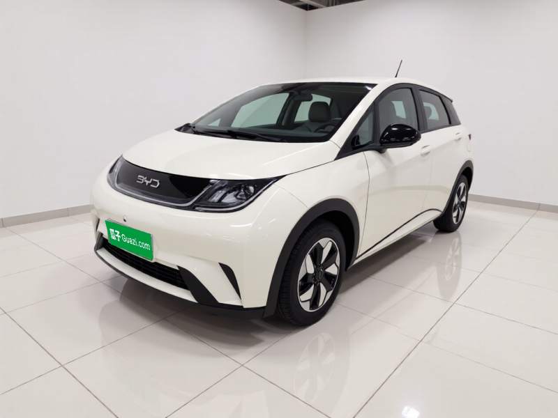 Used BYD Dolphin 2025 420km Free Edition
