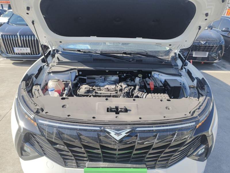 Used Cowin Kunlun 2025 1.5T Peak Edition 5 Seats — 19