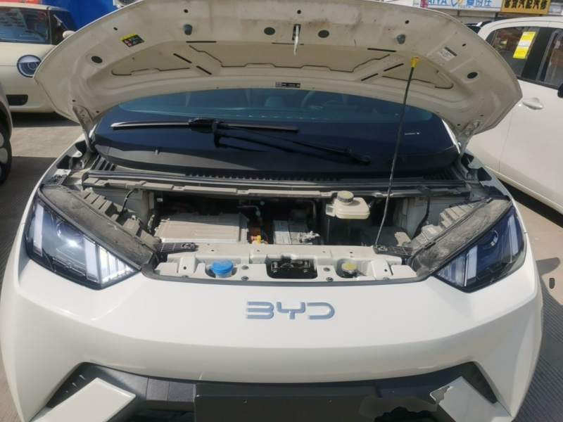 Used BYD Seagull 2025 305km Active Version — 19