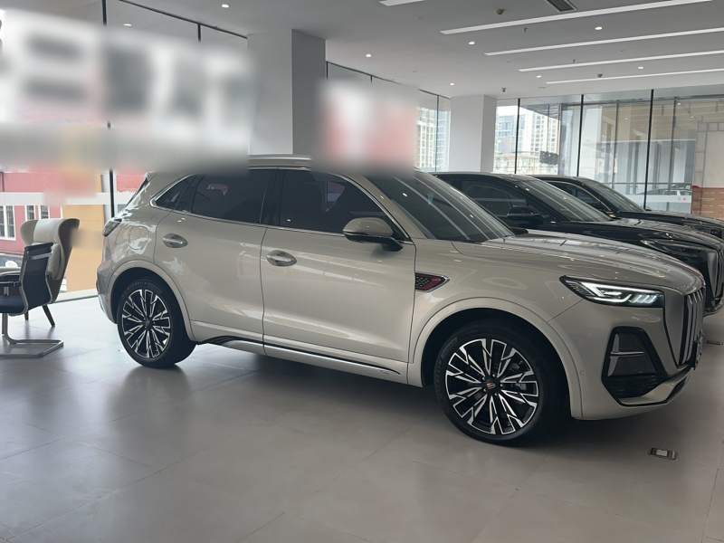 Used Hongqi HS5 2023 2.0T Four-Wheel Drive Flagship Pro Edition – Chinese Trim Ling — 9