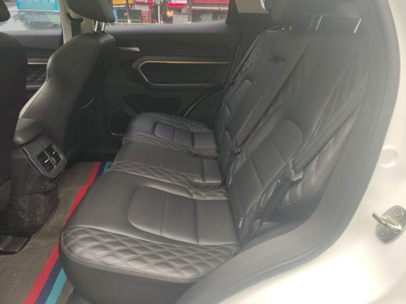 Used Haval H6 2020 1.5 GDIT Automatic Platinum Champion Edition — 16