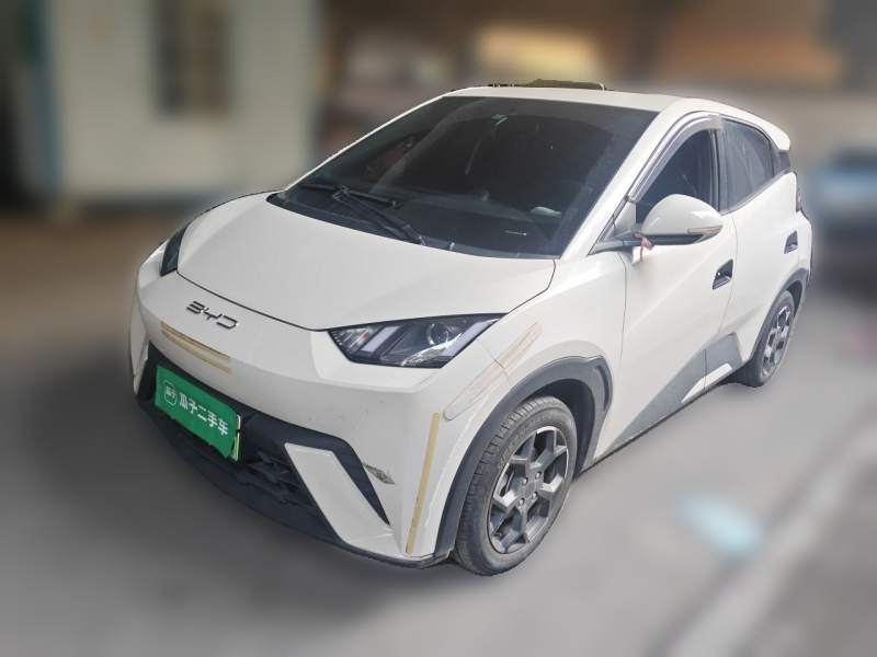 Used BYD Seagull 2023 Active Version — 1