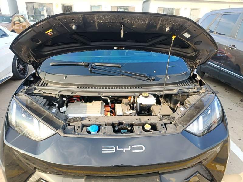 Used BYD Seagull 2024 Honor Edition 305km Dynamic Version — 19