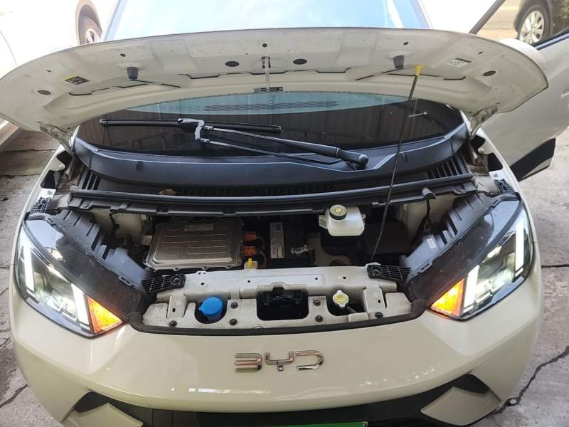 Used BYD Seagull 2024 Honor Edition 305km Freedom Version — 19