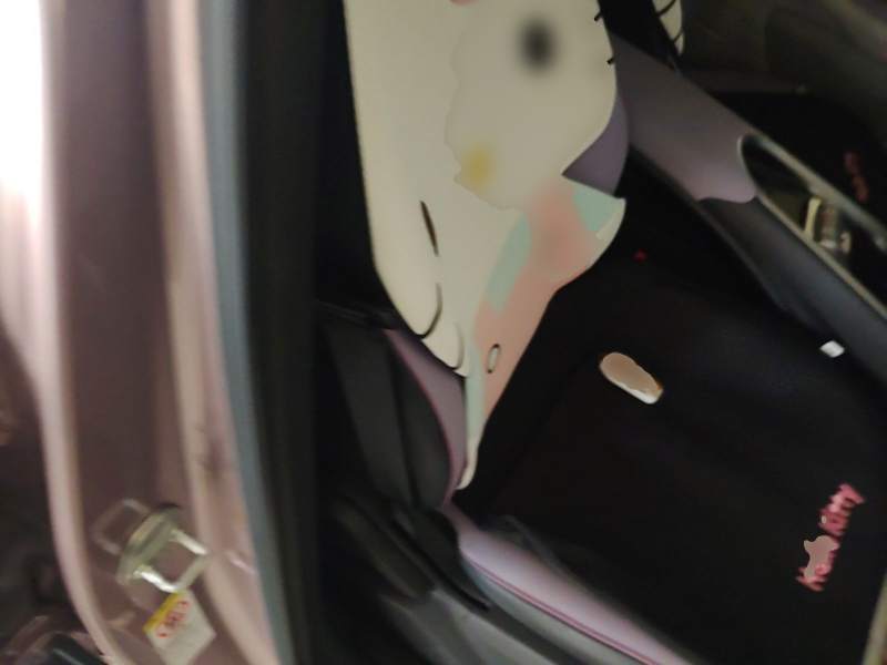 Used BYD Dolphin 2021 405 km Fashion Edition — 24