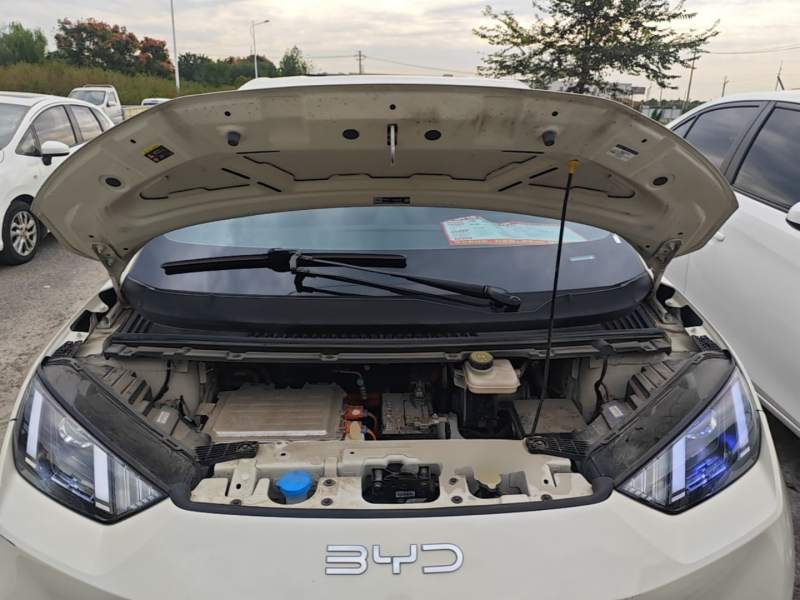 Used BYD Seagull 2023 Active Version — 19