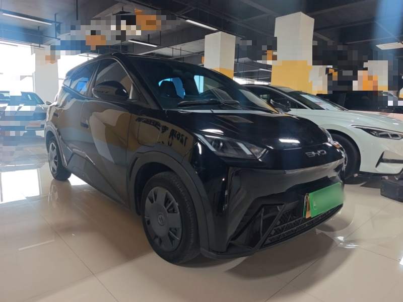 Used BYD Seagull 2024 Honor Edition 305km Dynamic Version — 3
