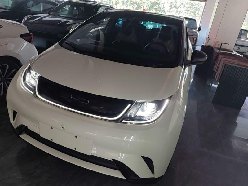 Used BYD Dolphin 2023 420 km Free Version