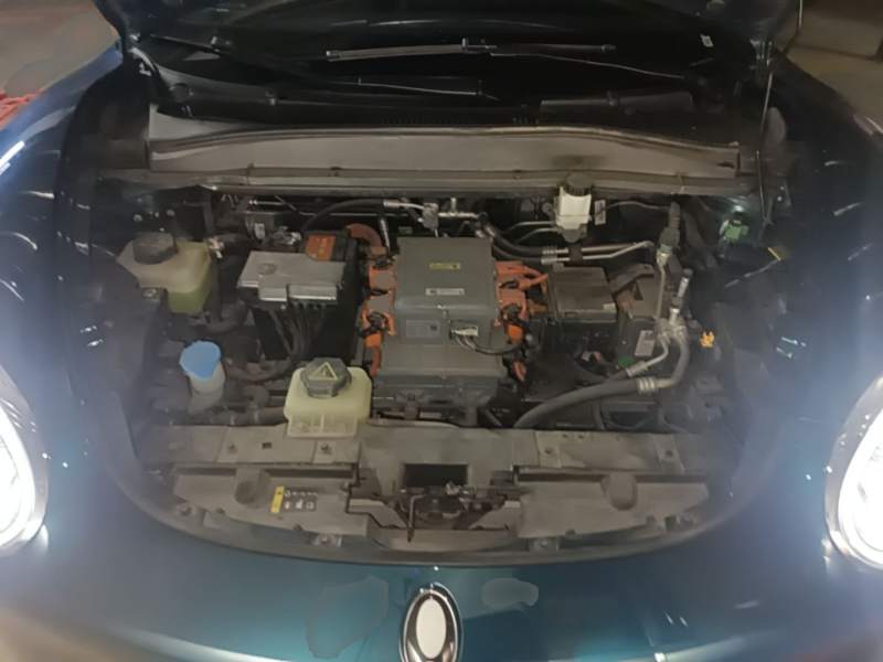 Used ORA Good Cat 2022 Morandi Edition 400km Standard Range Luxury Version Lithium-Ion Battery — 19