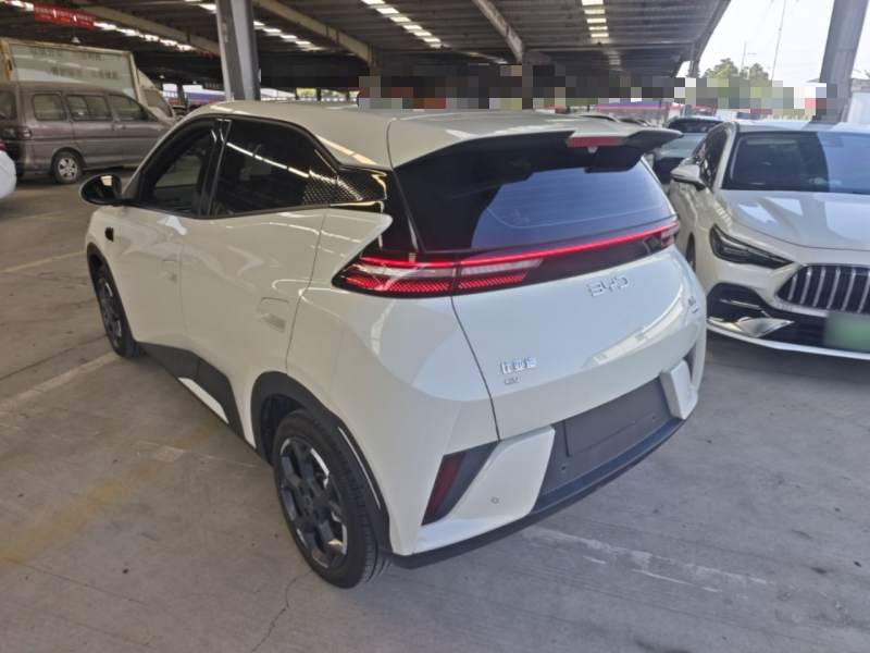 Used BYD Seagull 2025 Smart Drive Version 305 km Freedom Edition — 4