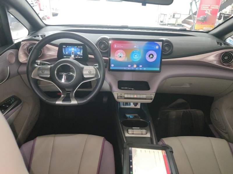 Used BYD Dolphin 2021 401km Knight Edition — 9