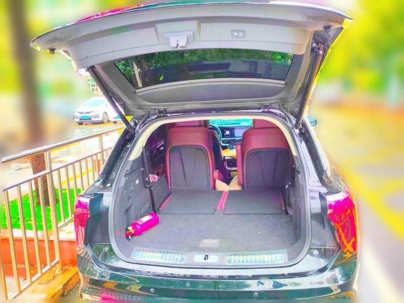 Used Hongqi E-HS9 2022 690 km Range Flagship Edition Six Seats — 9