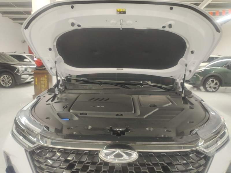 Used Chery Tiggo 8 PRO 2022 290T Two-Wheel Drive Haohan Edition 5 Seats — 19