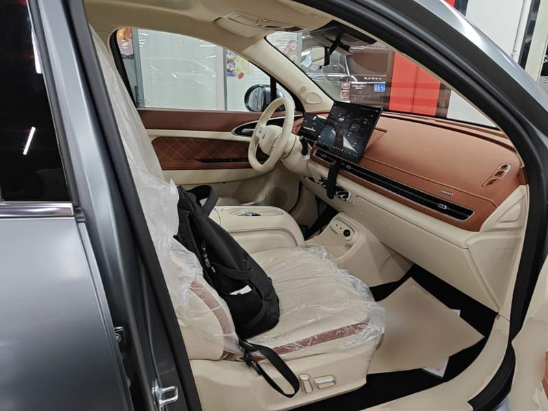 Used ORA Good Cat 2025 Model, 430 km Prestige Version — 24