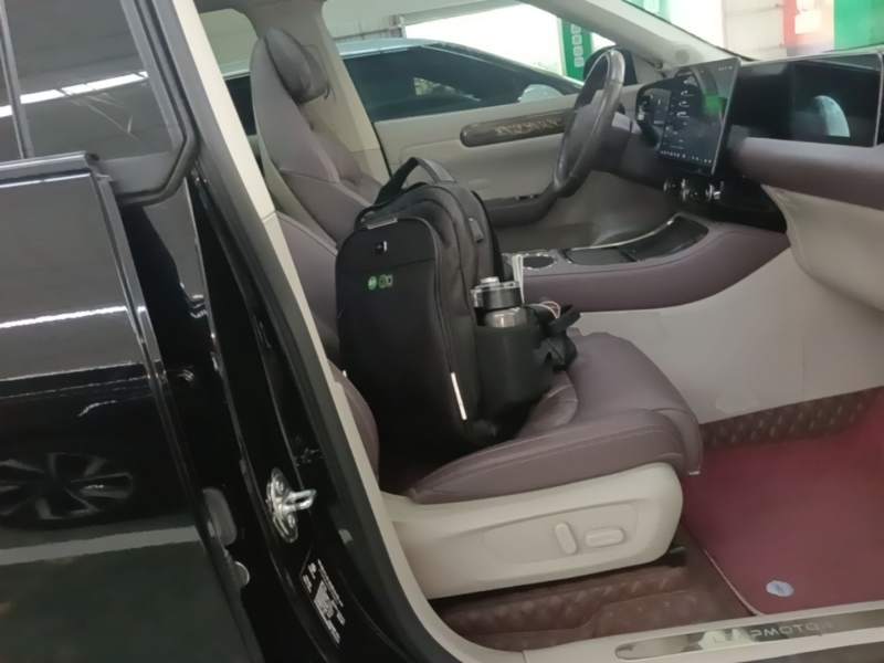 Used Leapmotor C11 2024 Range-Extended 300 Luxury Edition — 24