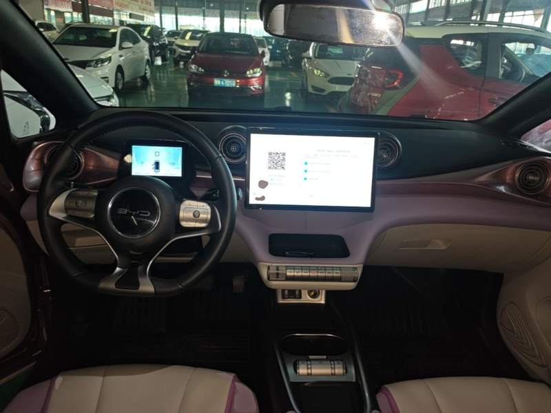 Used BYD Dolphin 2021 401km Knight Edition — 9