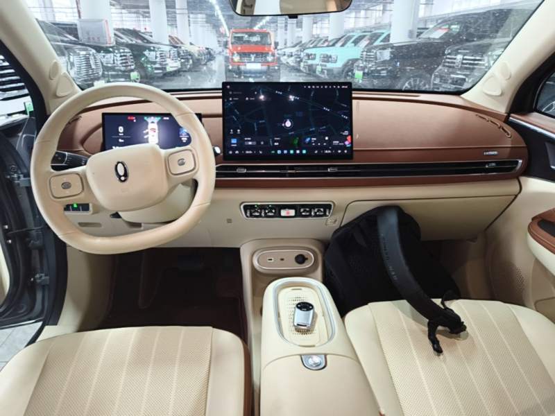 Used ORA Good Cat 2025 Model, 430 km Prestige Version — 9