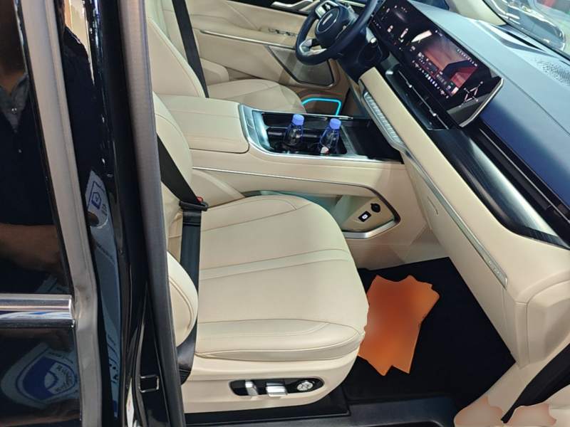 Used Wey Gaoshan 2023 Four-Wheel-Drive Executive Extended Version — 24