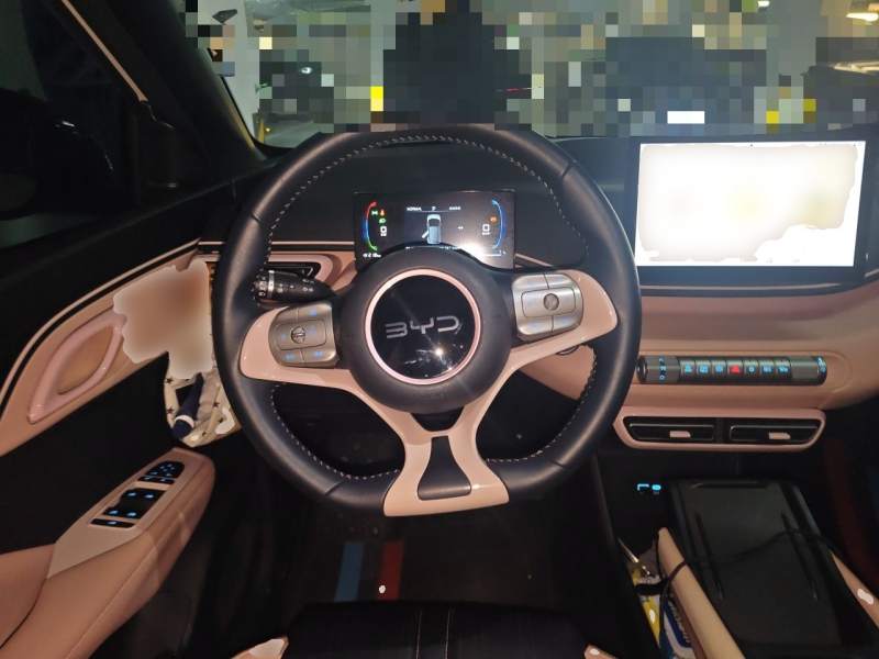 Used BYD Seagull 2024 Honor Edition 305km Freedom Version — 11