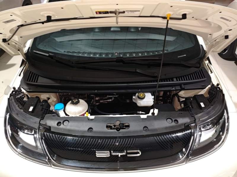Used BYD Dolphin 2023 420 km Fashion Edition — 19