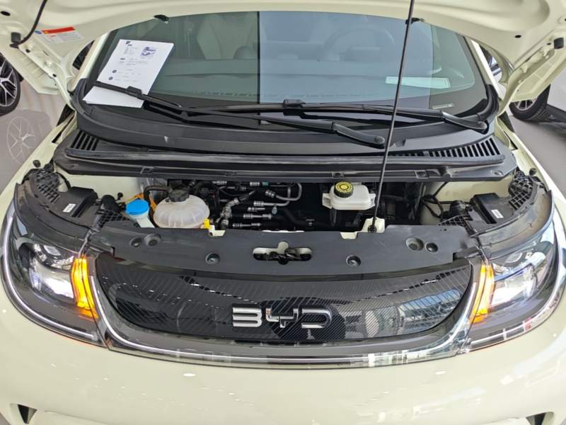 Used BYD Dolphin 2025 420km Free Edition — 19