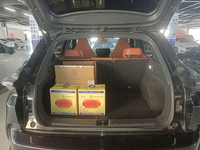 Used NETA X 2024 500 First Edition — 18