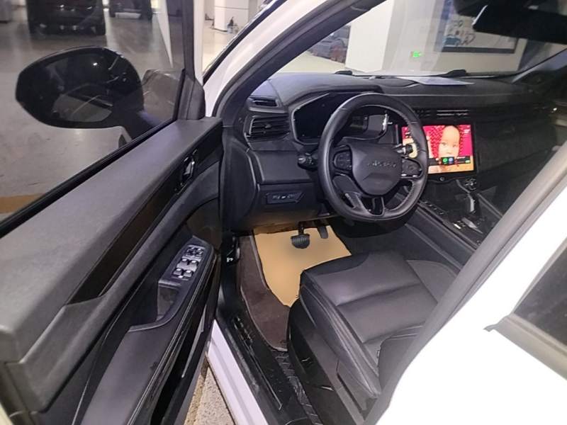Used Lynk & Co 01 EM-P 2023 1.5TD EM-P AM — 17