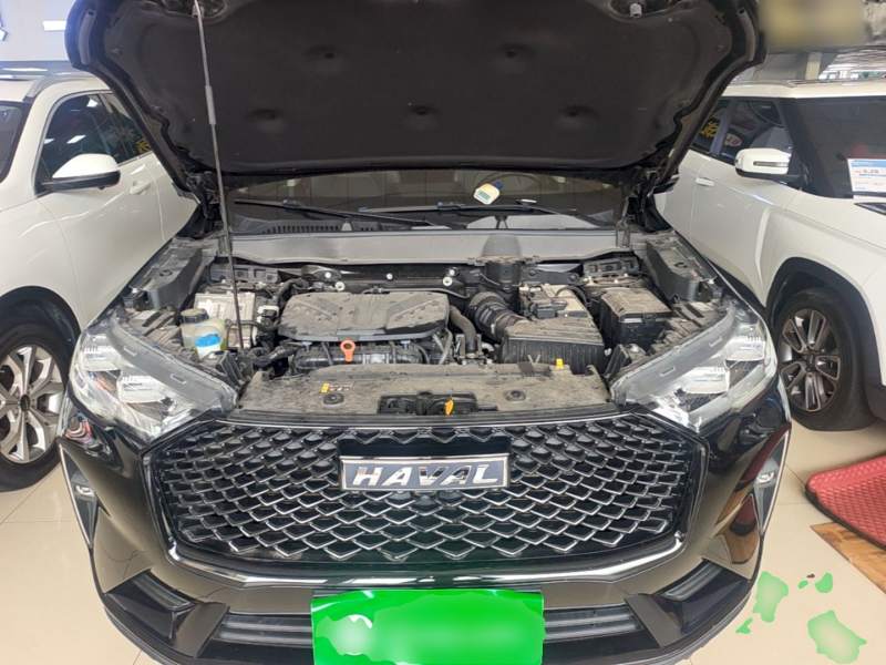 Used Haval H6 2021 3rd Generation 2.0T Automatic Two-Wheel Drive Max — 19