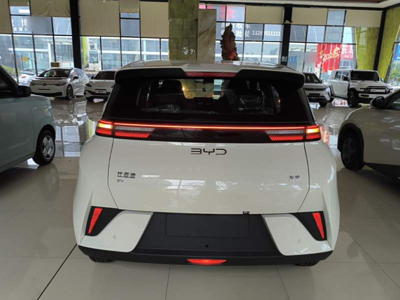 Used BYD Seagull 2025 Intelligent Driving Version 305 km Dynamic Edition — 5