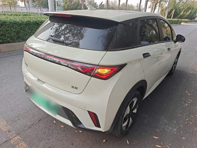 Used BYD Dolphin 2025 420km Fashion Edition — 6