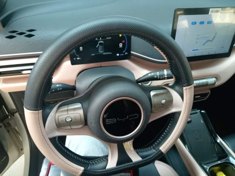 Used BYD Seagull 2023 Free Edition — 10