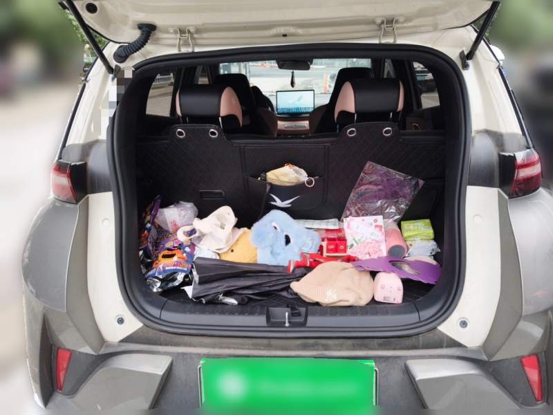 Used BYD Seagull 2025 Smart Drive Version 305 km Freedom Edition — 15