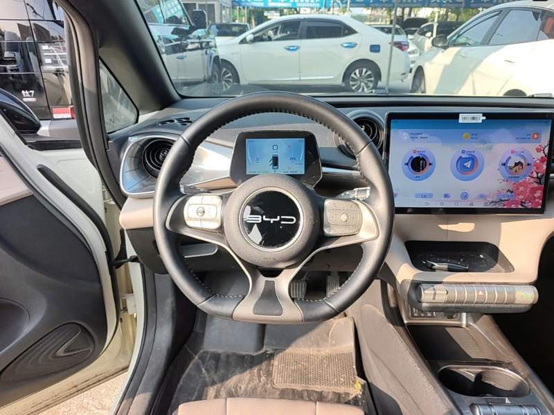 Used BYD Dolphin 2023 420 km Free Version — 10