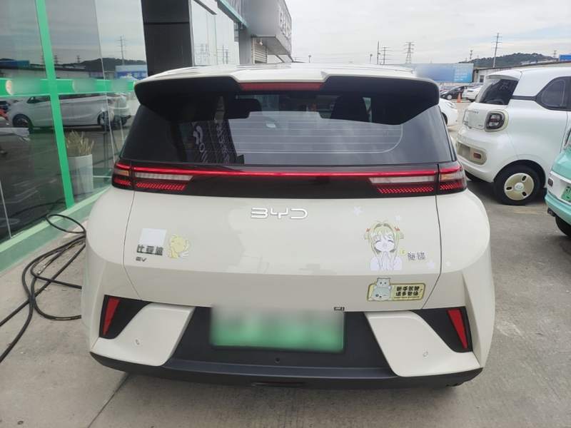 Used BYD Seagull 2025 Model Smart Drive Version 405km Free-Spirited Version — 5