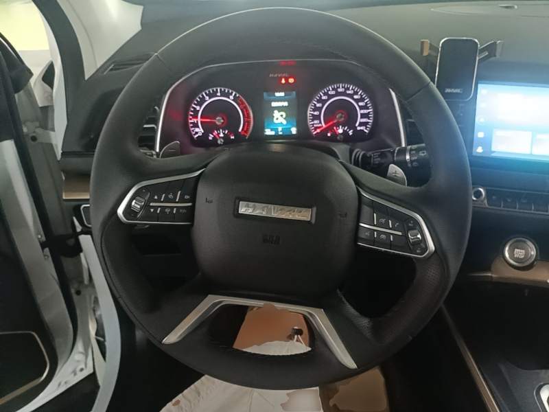 Used Haval H6 2021 1.5T Automatic Champion Edition — 10