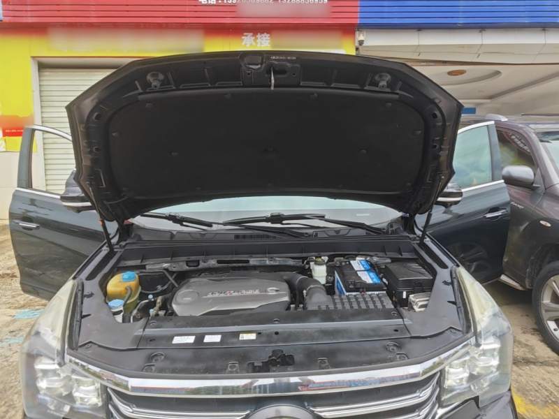 Used GAC Trumpchi GS8 2017 320T Two-Wheel Drive Luxury Smart Connectivity Version (7 Seats) — 19