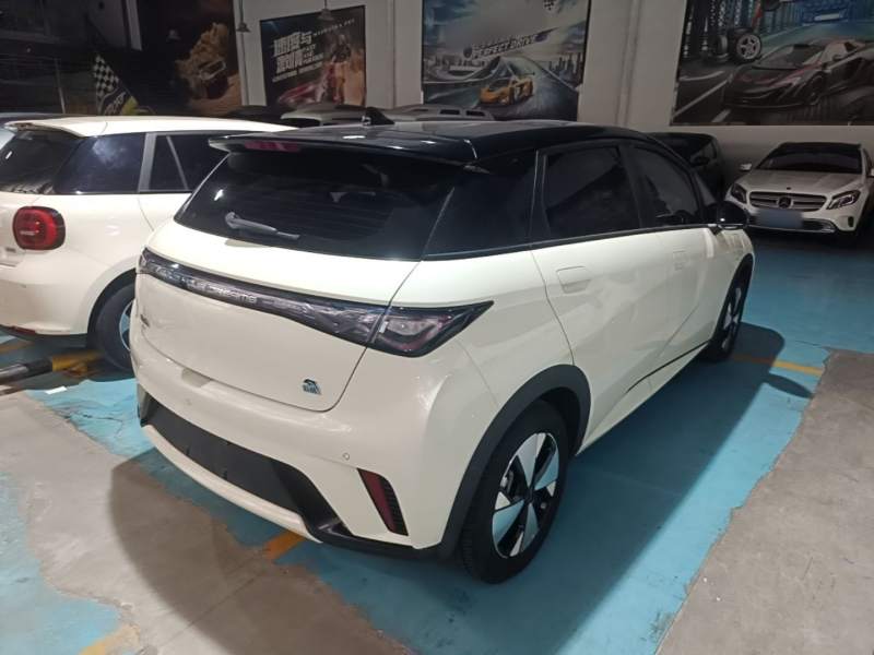 Used BYD Dolphin 2023 420 km Free Version — 6