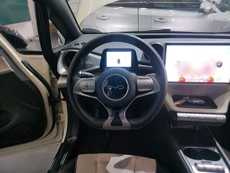 Used BYD Dolphin 2025 420km Fashion Edition — 10