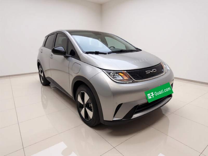 Used BYD Dolphin 2023 420 km Fashion Edition — 3