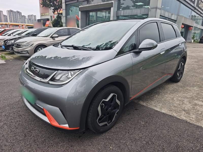 Used BYD Dolphin 2021 405 km Free Version