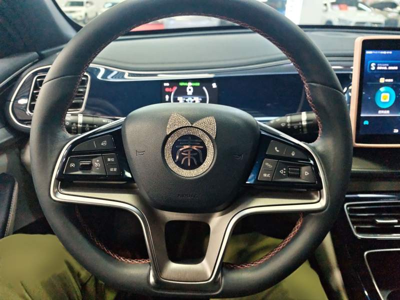 Used BYD Qin PLUS 2021 EV 500KM Luxury Model — 2