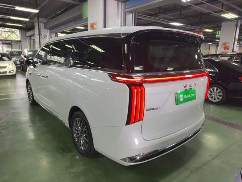 Used Wey Gaoshan 2025 Four-Wheel Drive Alpine 8 — 4
