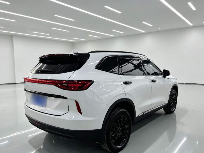 Used Haval H6 2021 3rd Generation 1.5T Automatic Two-Wheel Drive Max — 35