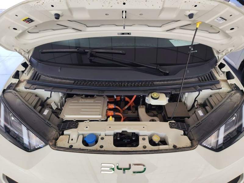 Used BYD Seagull 2025 Intelligent Driving Version 305 km Dynamic Edition — 19