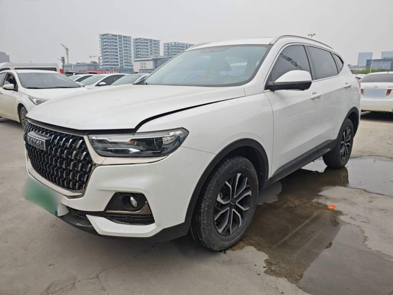Used Haval H6 2023 National Trend Edition 1.5T Automatic Urban Version