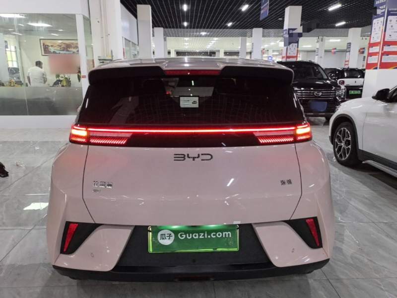 Used BYD Seagull 2025 Intelligent Driving Version 305 km Dynamic Edition — 5
